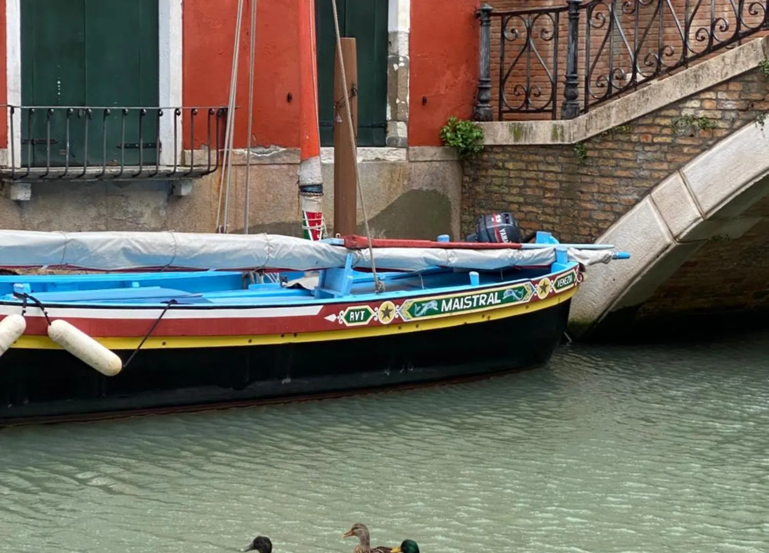 Bella Meimei Venice